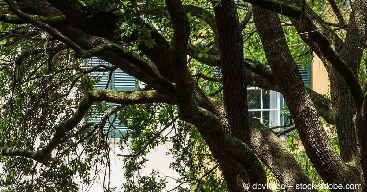 Juneteenth Walk to the River — Savannah